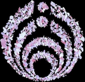 bassnectar-community-tumblr-honeycomb